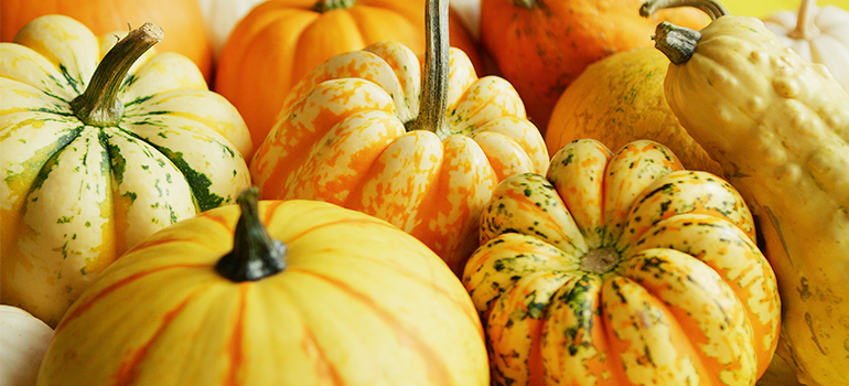 Healthy pumpkin recipes