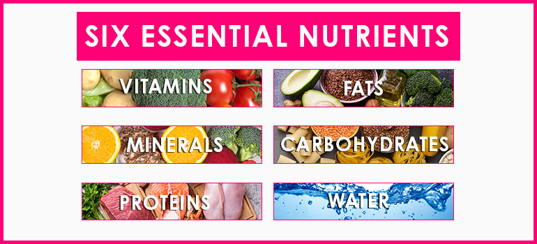 Healthy Foods six Essential Nutrients